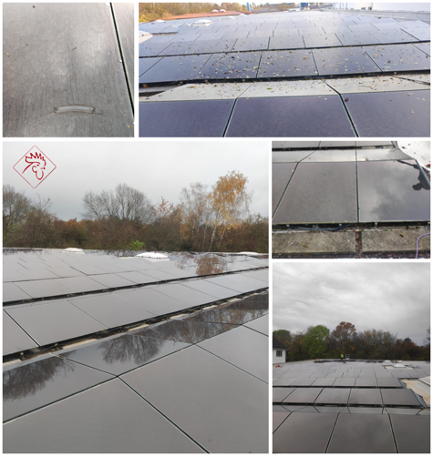 Dachreinigung / Solar Panel Reinigung